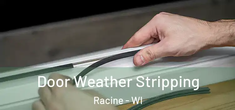  Door Weather Stripping Racine - WI