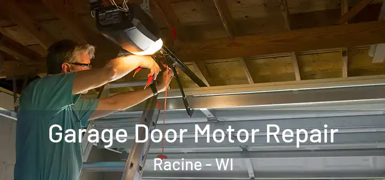  Garage Door Motor Repair Racine - WI
