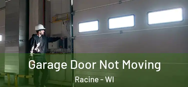  Garage Door Not Moving Racine - WI