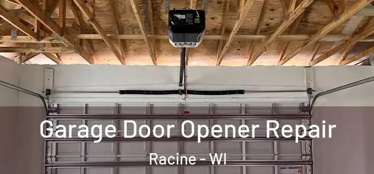  Garage Door Opener Repair Racine - WI
