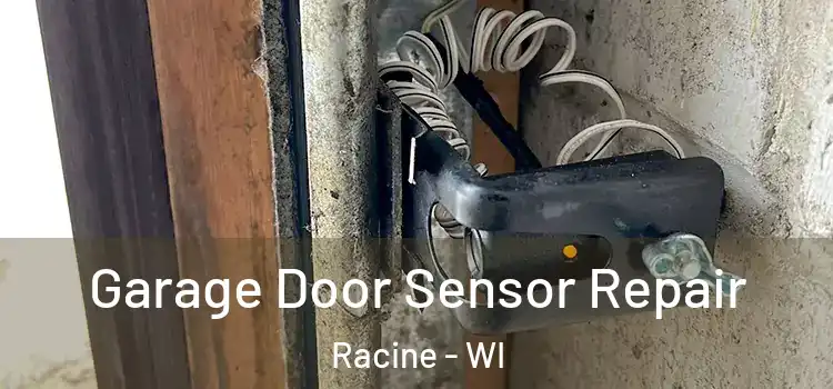  Garage Door Sensor Repair Racine - WI