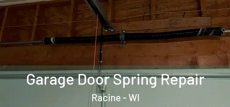  Garage Door Spring Repair Racine - WI