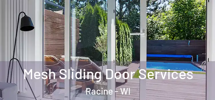 Mesh Sliding Door Services Racine - WI