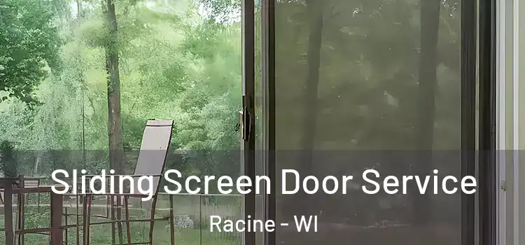  Sliding Screen Door Service Racine - WI